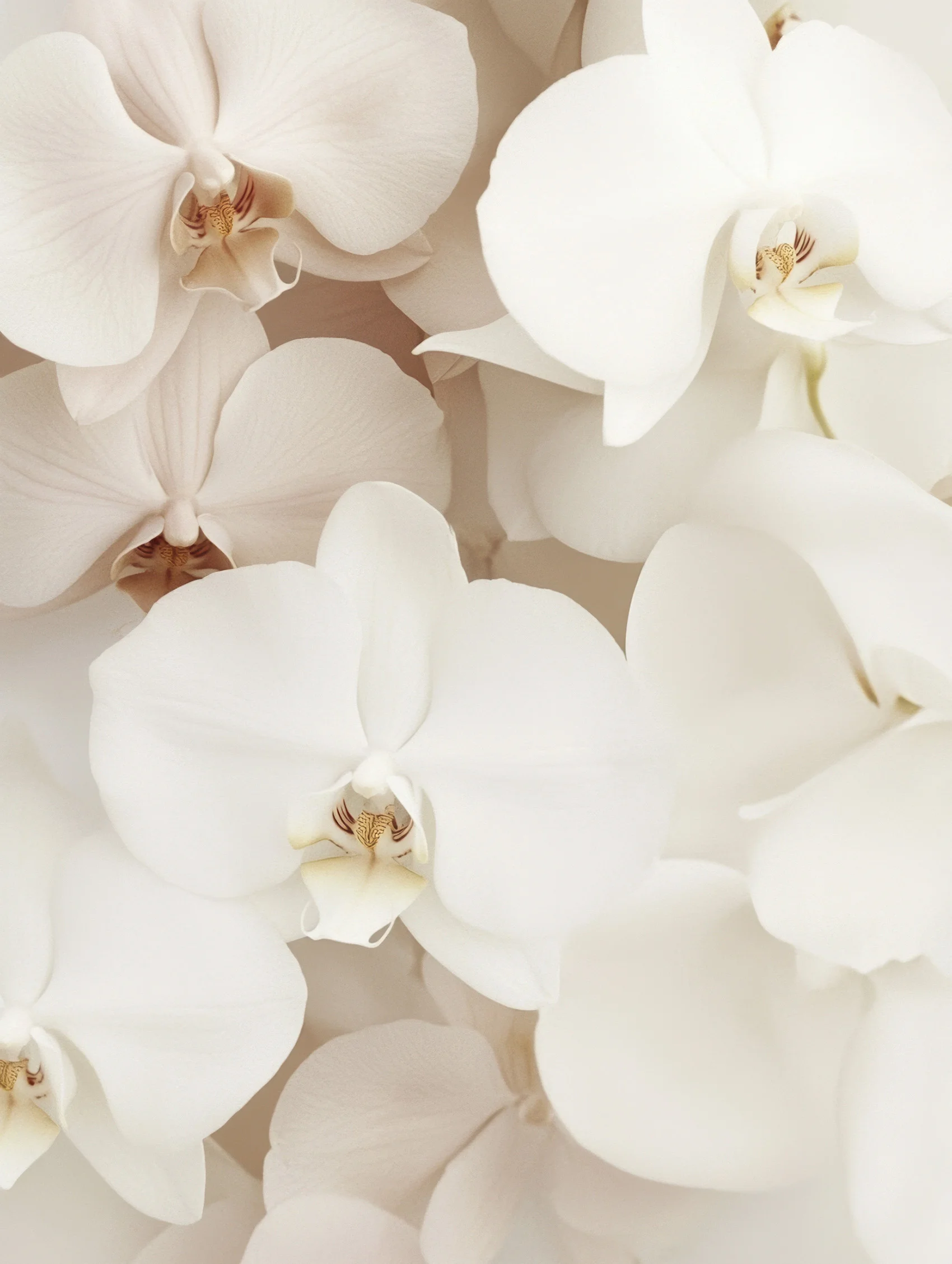 Exemple de page “À propos” – version storytelling